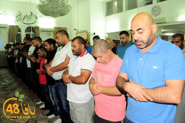 taraweu7 ramla (40).JPG